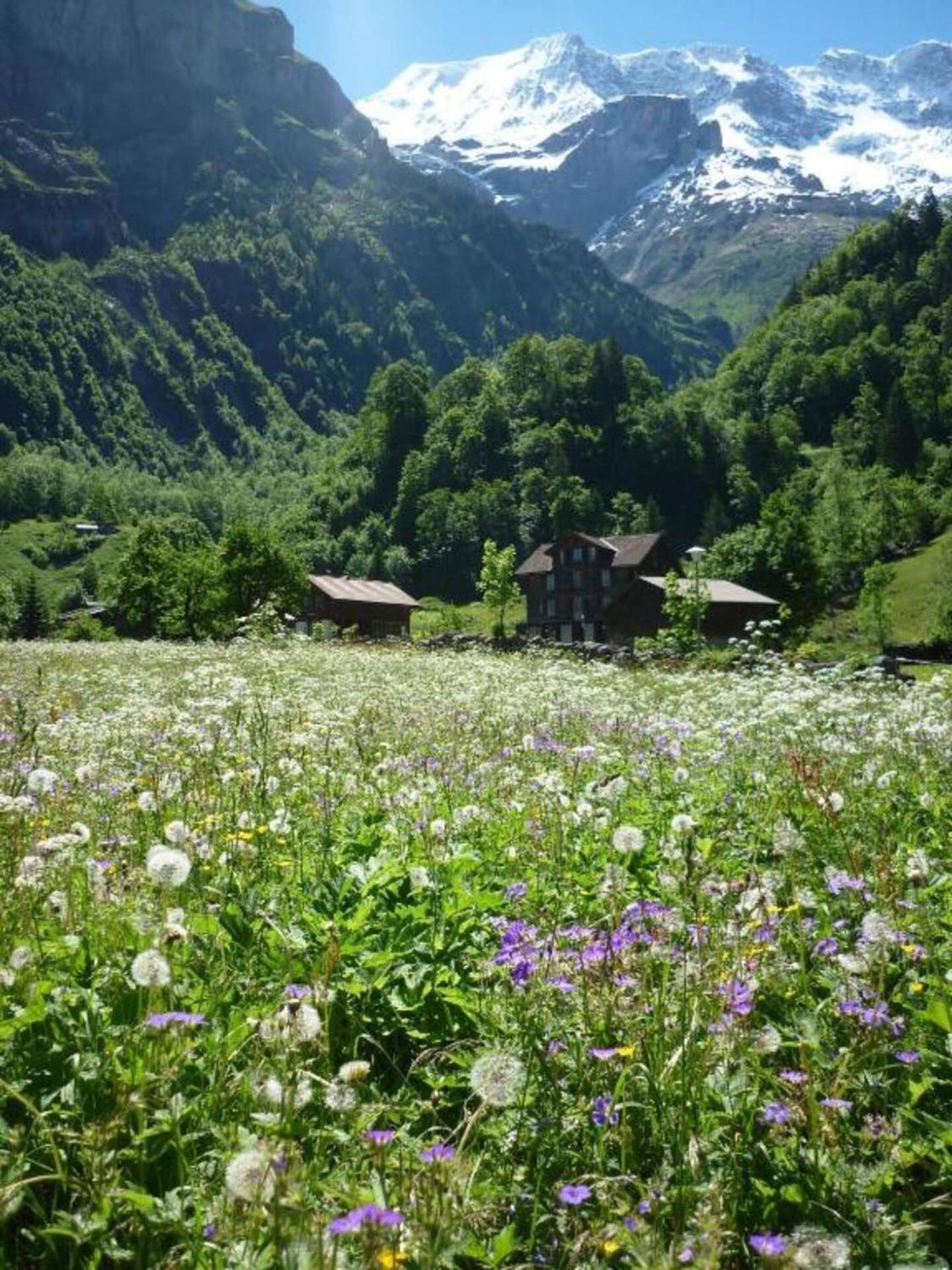 Alpenhof Mountain Lodge Stechelberg Dış mekan fotoğraf